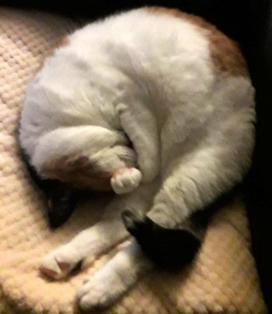 erna63 uploaded   1 year/s ago