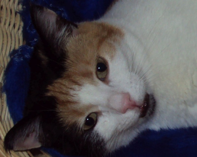 erna63 uploaded   1 year/s ago