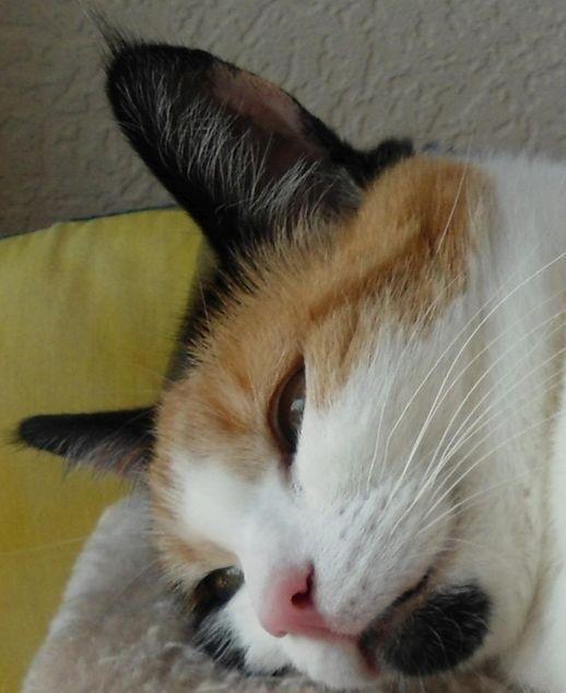 erna63 uploaded   1 year/s ago