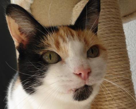 erna63 uploaded   1 year/s ago