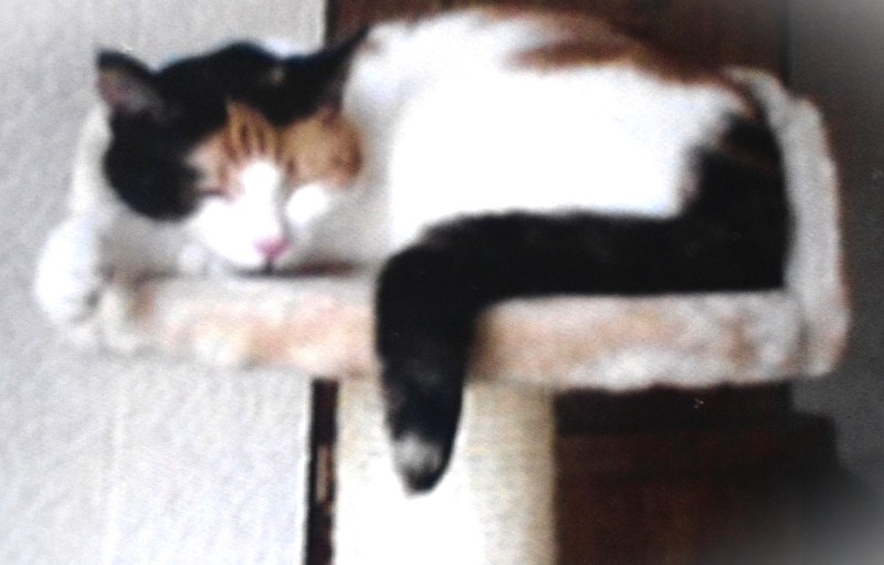 erna63 uploaded   1 year/s ago