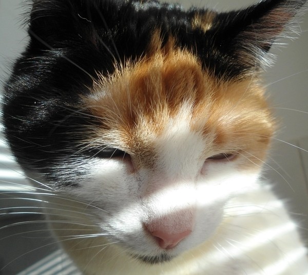 erna63 uploaded   1 year/s ago