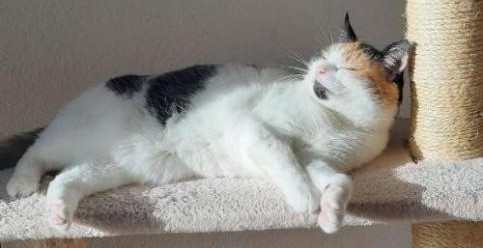 erna63 uploaded   1 year/s ago