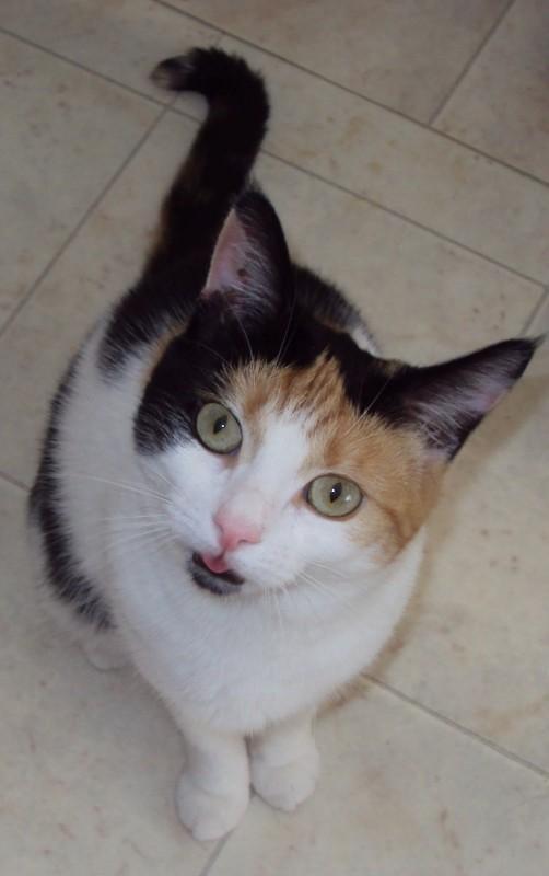 erna63 uploaded   1 year/s ago