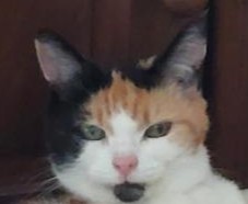 erna63 uploaded   1 year/s ago