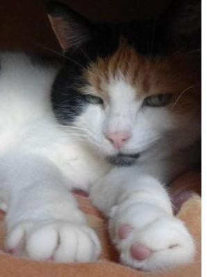 erna63 uploaded   1 year/s ago