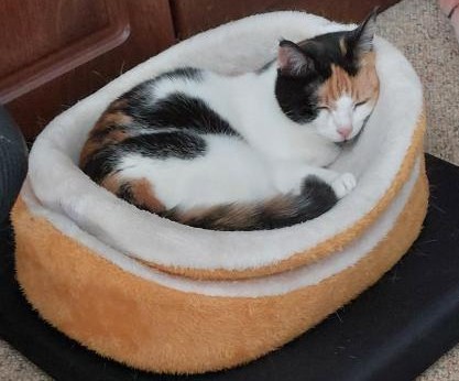 erna63 uploaded   1 year/s ago