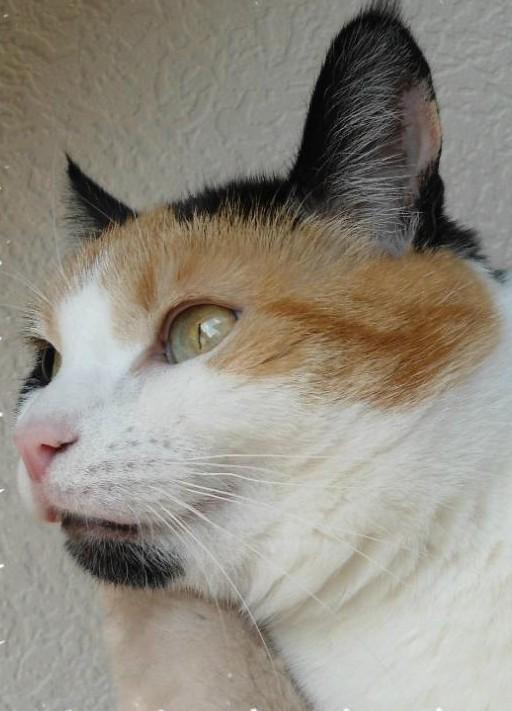 erna63 uploaded   1 year/s ago