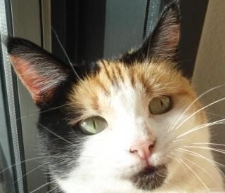 erna63 uploaded   1 year/s ago