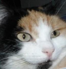 erna63 uploaded   1 year/s ago