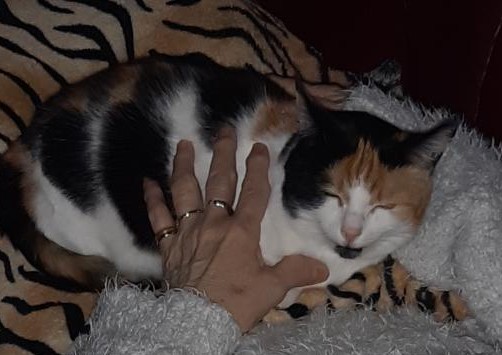 erna63 uploaded   1 year/s ago