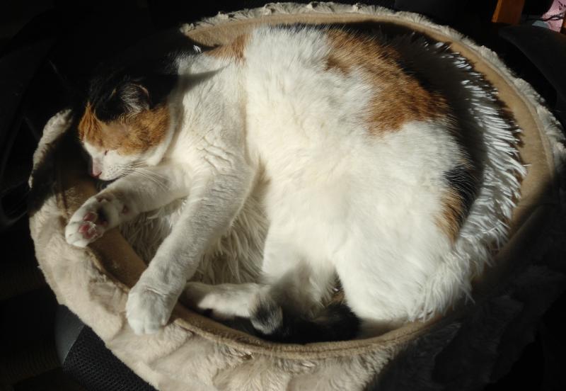 erna63 uploaded   1 year/s ago