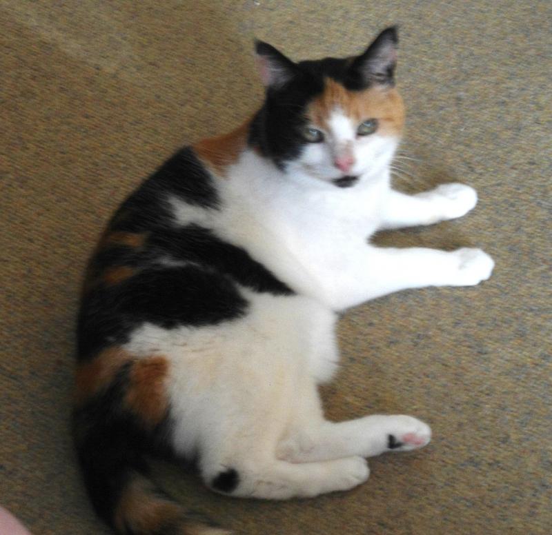 erna63 uploaded   1 year/s ago