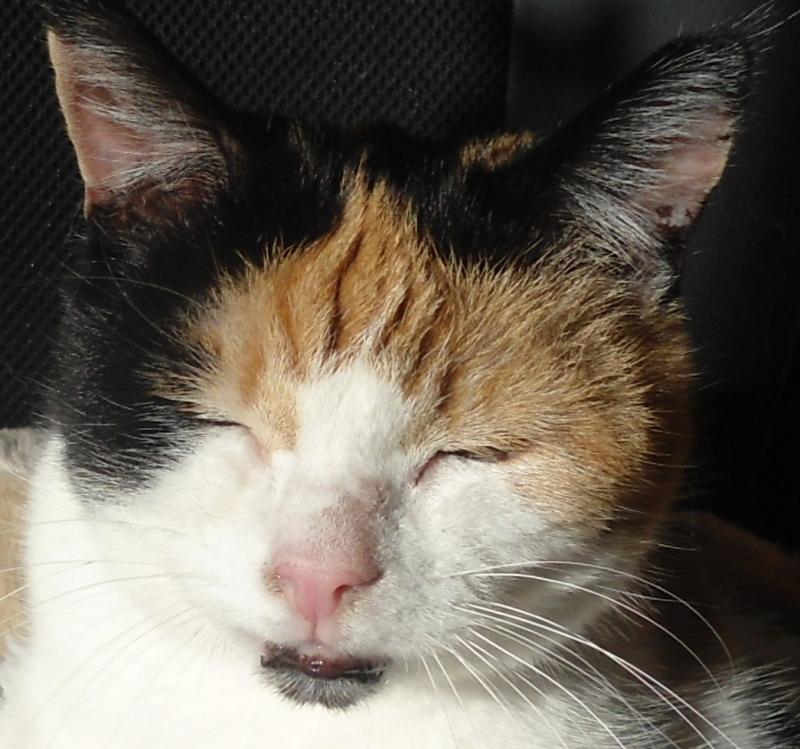 erna63 uploaded   1 year/s ago