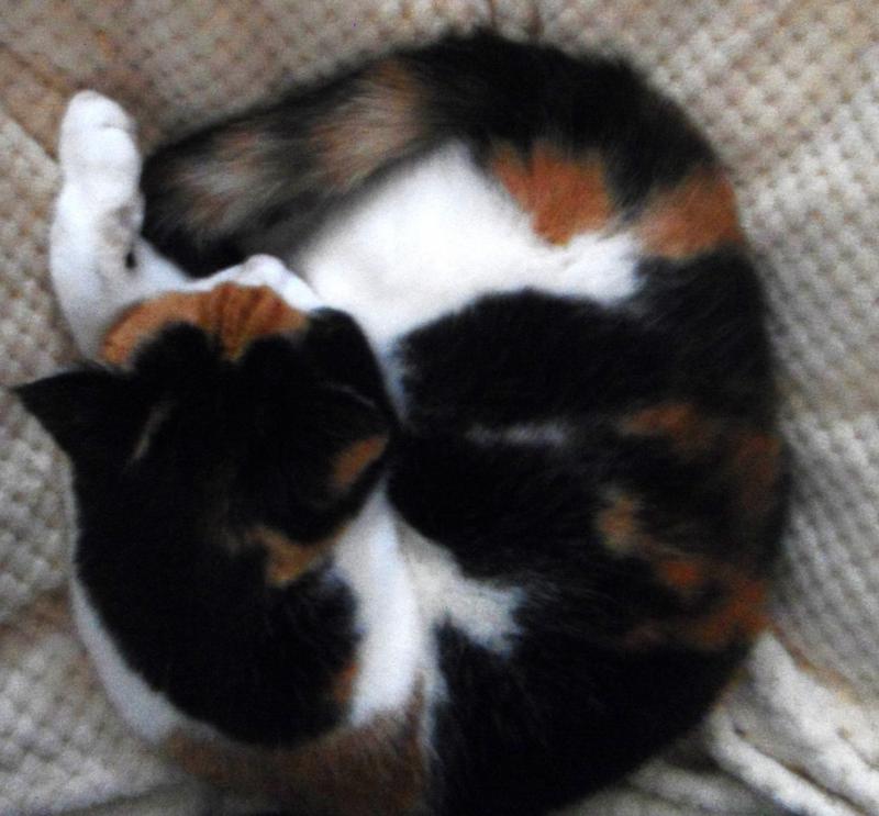 erna63 uploaded   1 year/s ago