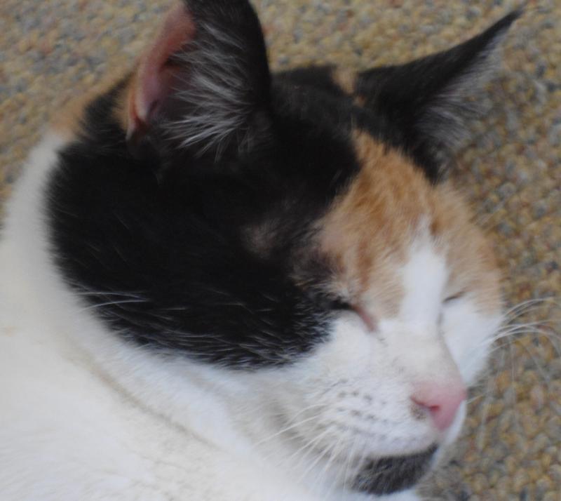 erna63 uploaded   1 year/s ago