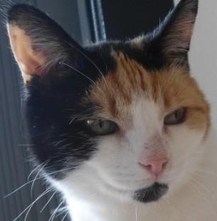 erna63 uploaded   1 year/s ago