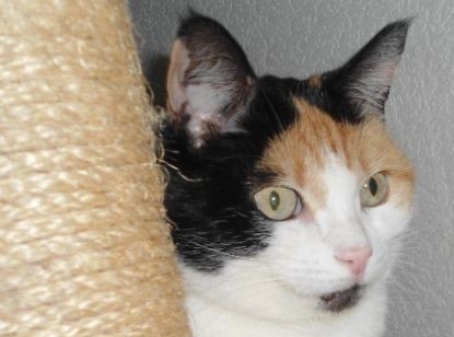 erna63 uploaded   1 year/s ago