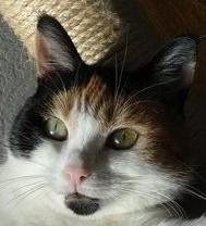 erna63 uploaded   1 year/s ago