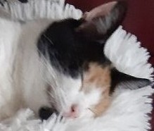 erna63 uploaded   1 year/s ago