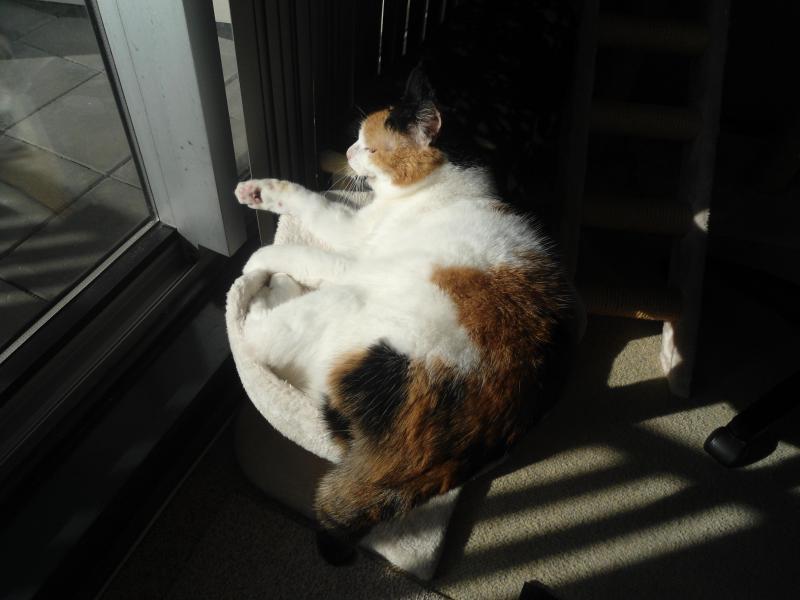 erna63 uploaded   1 year/s ago