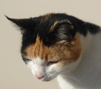 erna63 uploaded   1 year/s ago