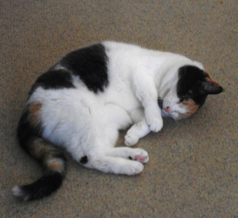 erna63 uploaded   1 year/s ago