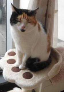 erna63 uploaded   1 year/s ago