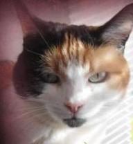 erna63 uploaded   1 year/s ago