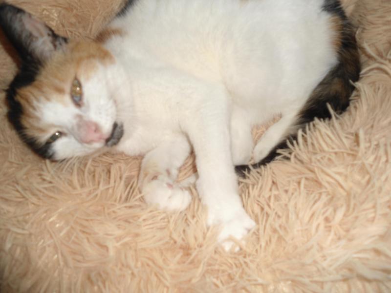 erna63 uploaded   1 year/s ago