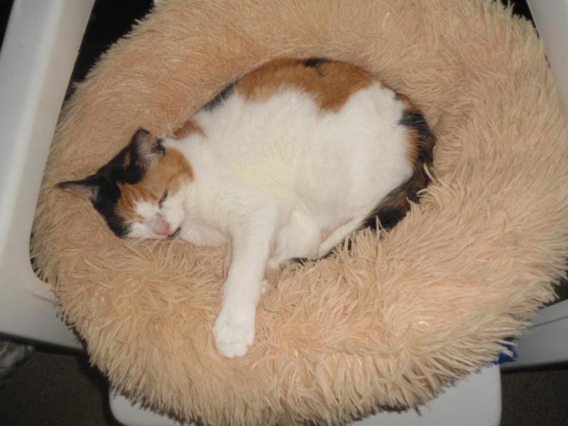 erna63 uploaded   1 year/s ago