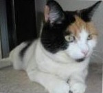 erna63 uploaded   1 year/s ago