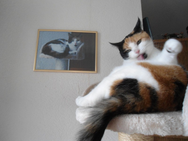 erna63 uploaded   1 year/s ago