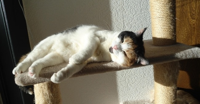 erna63 uploaded   1 year/s ago