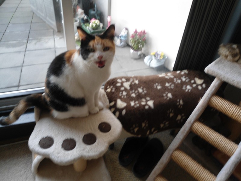 erna63 uploaded   1 year/s ago