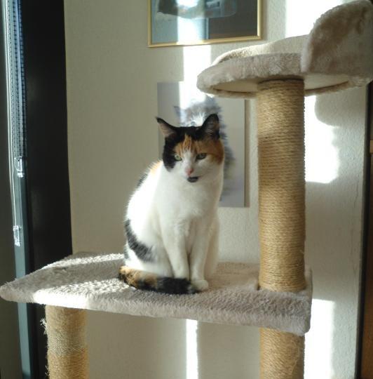 erna63 uploaded   1 year/s ago