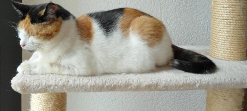 erna63 uploaded   1 year/s ago