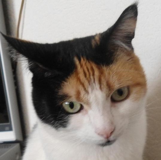 erna63 uploaded   1 year/s ago