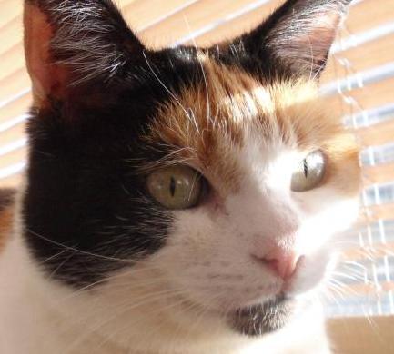 erna63 uploaded   1 year/s ago