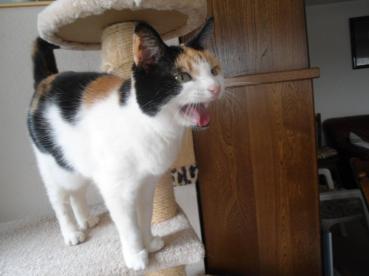 erna63 uploaded   1 year/s ago