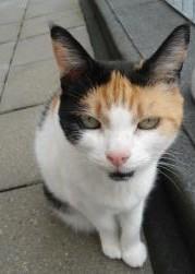 erna63 uploaded   1 year/s ago