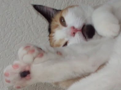 erna63 uploaded   1 year/s ago