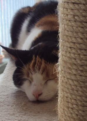 erna63 uploaded   1 year/s ago