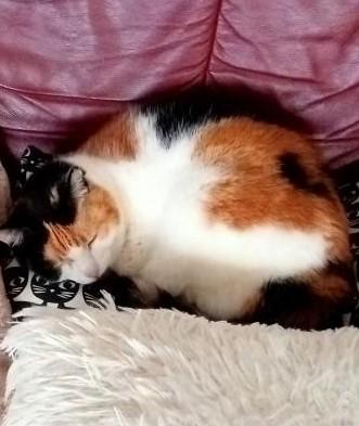 erna63 uploaded   1 year/s ago