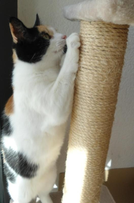 erna63 uploaded   1 year/s ago