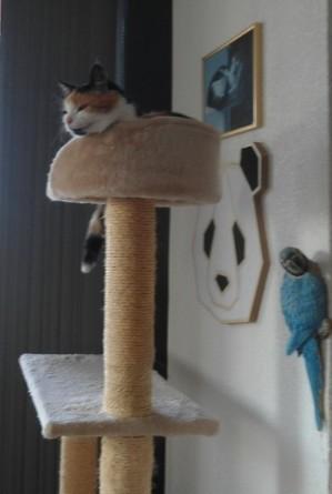 erna63 uploaded   1 year/s ago