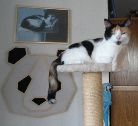 erna63 uploaded   1 year/s ago