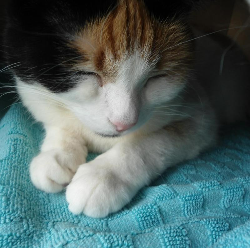 erna63 uploaded   1 year/s ago