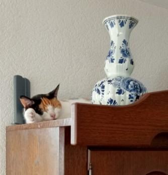 erna63 uploaded   1 year/s ago