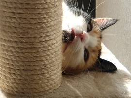 erna63 uploaded   1 year/s ago